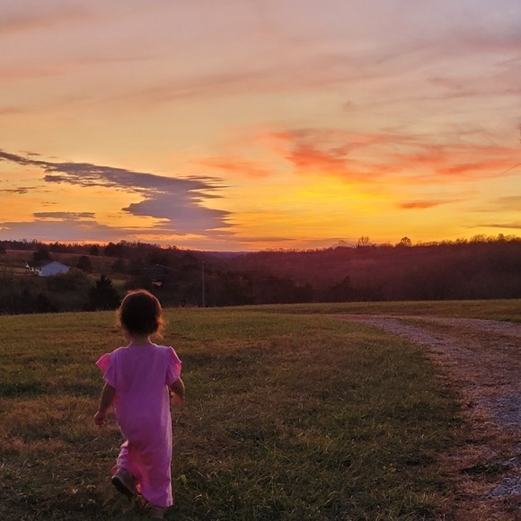 Meet your Posher, Posh - Picture 1 of 1